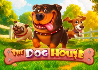 win289 The Dog House ทดลองเล่นฟรี